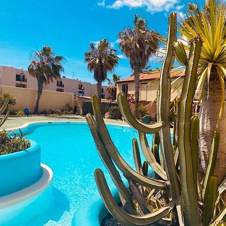 Surf And Chill Bungalow 70 Parque Holandes Exterior foto