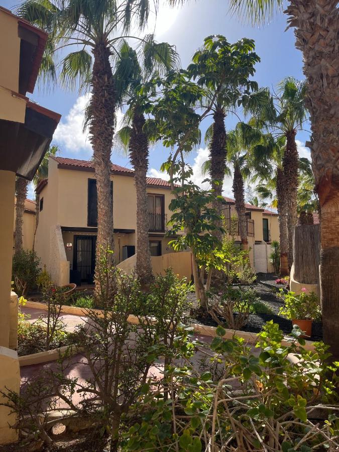 Surf And Chill Bungalow 70 Parque Holandes Exterior foto