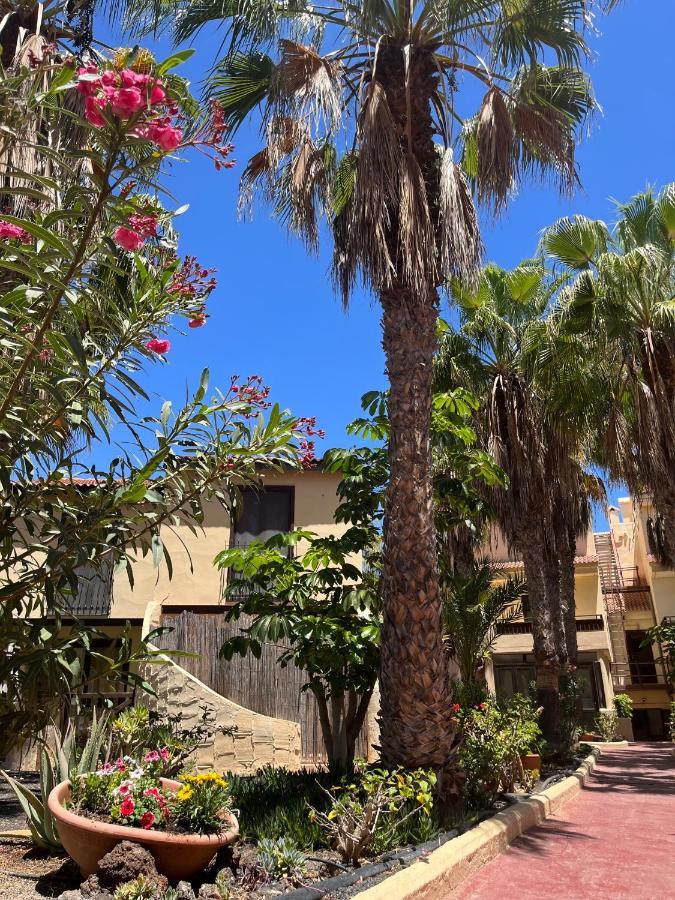 Surf And Chill Bungalow 70 Parque Holandes Exterior foto