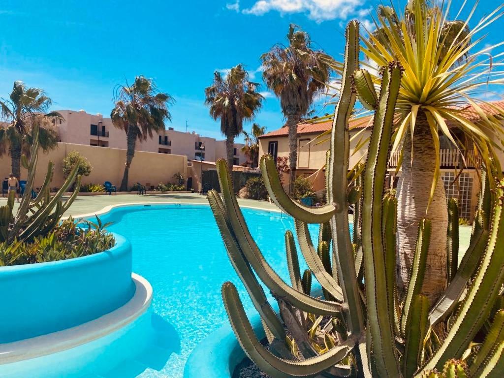 Surf And Chill Bungalow 70 Parque Holandes Exterior foto