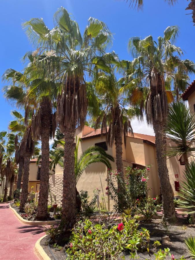 Surf And Chill Bungalow 70 Parque Holandes Exterior foto