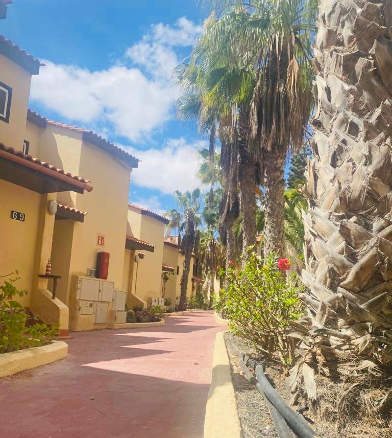 Surf And Chill Bungalow 70 Parque Holandes Exterior foto